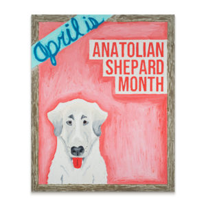Anatolian Shepard Month